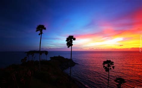 Zachód Słońca Morze Palmy