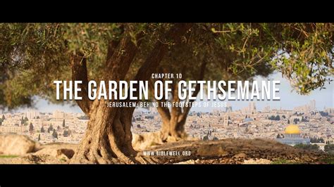 Garden Of Gethsemane Bible What Your Kid Will Learn From An Evening