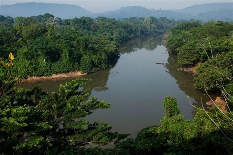 The New York Times Tragándose la selva ciudades surgen en la Amazonia InfoAmazonia