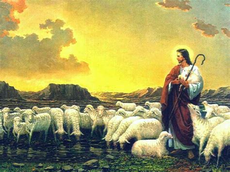 O Pastor E As Ovelhas