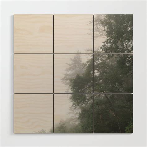 Foggy Morning In North Georgia Mountains 2 Wood Wall Art By Andrea