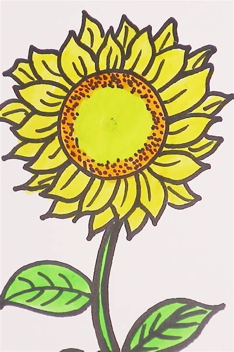 How To Draw Sunflowers How To Draw