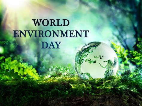 World Environment Day Wallpapers Wallpaper Cave