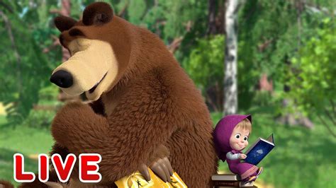 🔴 Live Stream 🎬 Masha And The Bear 🐻👱‍♀️ Lessons At Home 🏡📚 Youtube