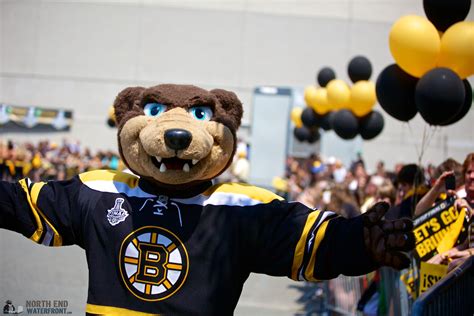Show off your dedication to the boston bruins with this sweet mascot statue. Blades (Boston Bruins) | SportsMascots Wikia | Fandom