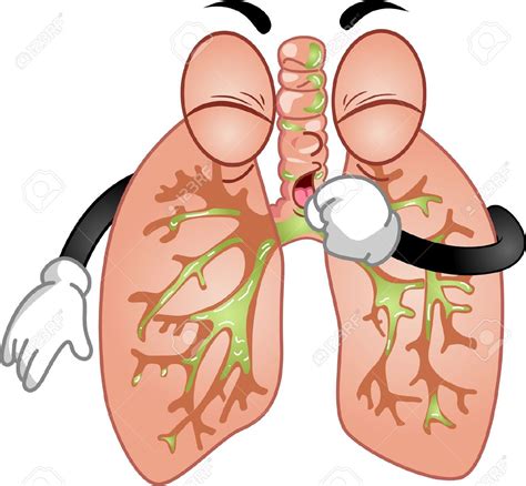 Lung Clipart 20 Free Cliparts Download Images On Clipground 2024