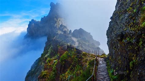 Portugal Mountain Trail In Madeira 2016 Bing Desktop Wallpaper Preview