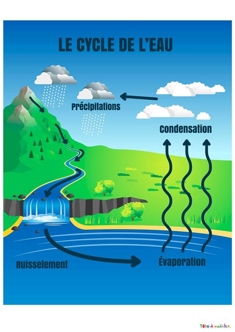 Infographie Suivez Le Cycle De L Eau Hot Sex Picture