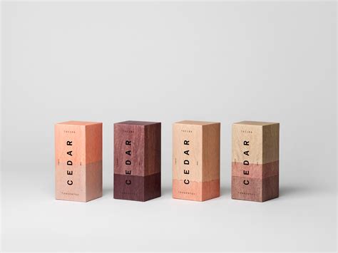 Elegant Minimalistic Skincare Packaging Designs That We Love