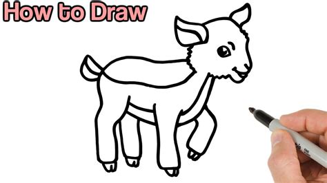 The circle around each eye can help you. How to Draw a Goat Kid | Cute baby animals drawings for ...