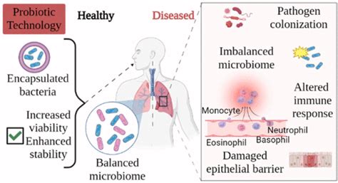 Lung Microbiota Its Relationship To Respiratory System Diseases And