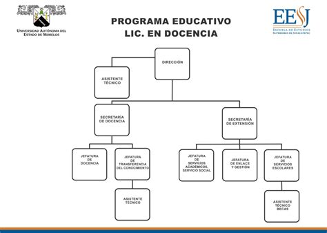 Organigrama De Secundaria Instituto Cultural De Occidente Images