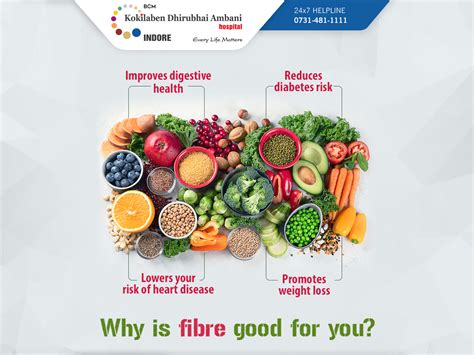 Why Is Fibre Good For You