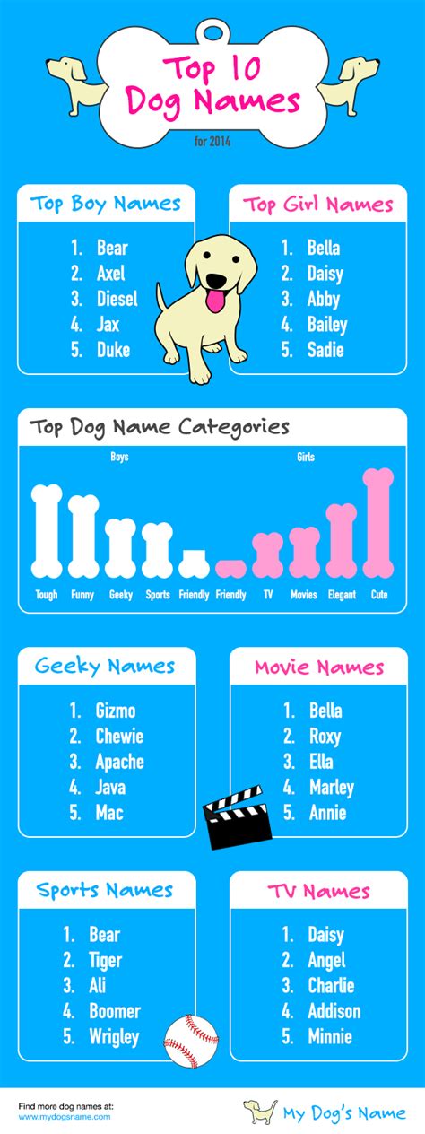 Top 10 Dog Names Infographic Pet Pet Dog And Animal