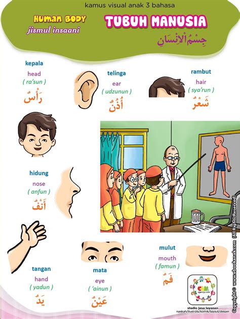Mari belajar anggota badan dalam bahasa arab. Tubuh Manusia (1) | Tubuh, Kartu flash, Tubuh manusia