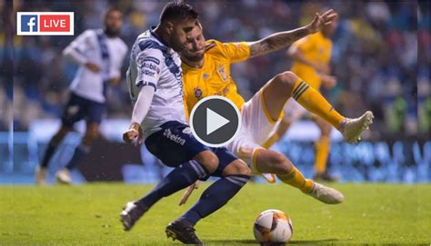 Plaza de toros el relicario Tigres vs Puebla 24 de Septiembre 2019