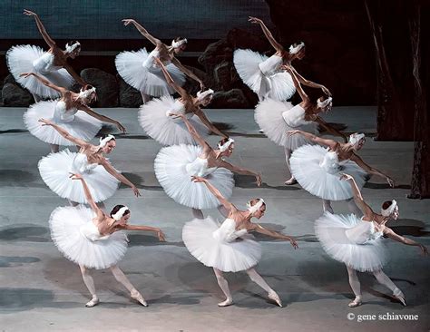 Mariinsky Corps De Ballet Ballet Beautiful Ballet Photography Swan
