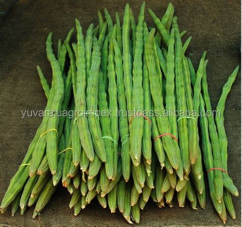 Fresh Indian Vegetables Exporter From India Buy Fresh Vegetable