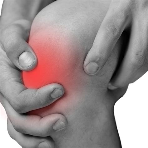 Knee Pain Avala Ortho