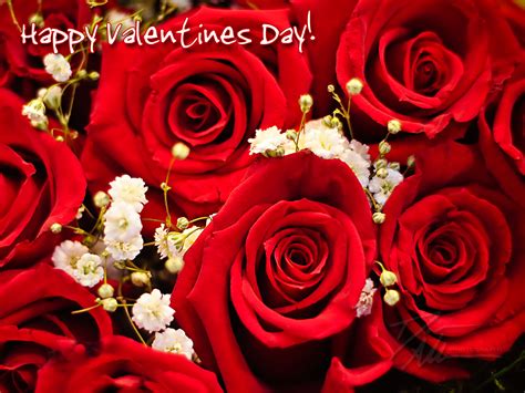 Pictures for Valentines Day: Happy Valentines Day