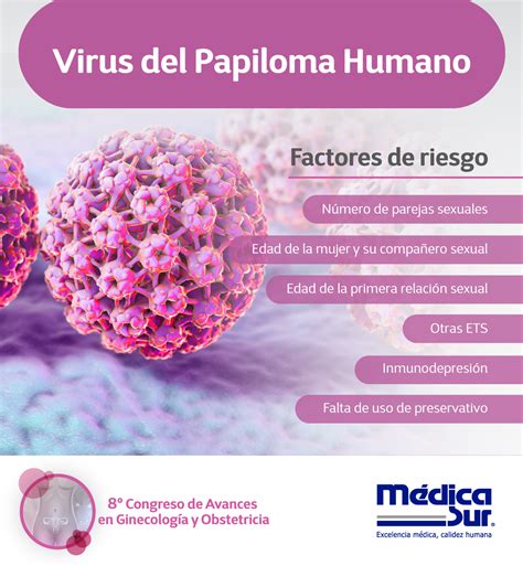 C Mo Detectar El Virus Del Papiloma Humano Hot Sex Picture
