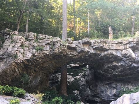This Natural Bridge Is One Of Alabamas Best Kept Secrets
