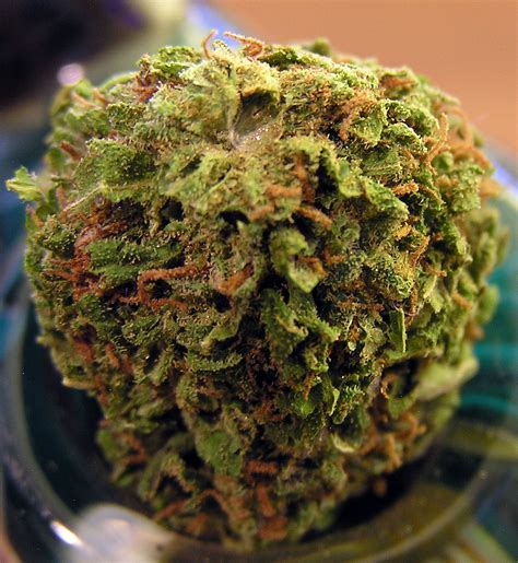 Police California Weed Is Worth 700 Per Ounce High Times