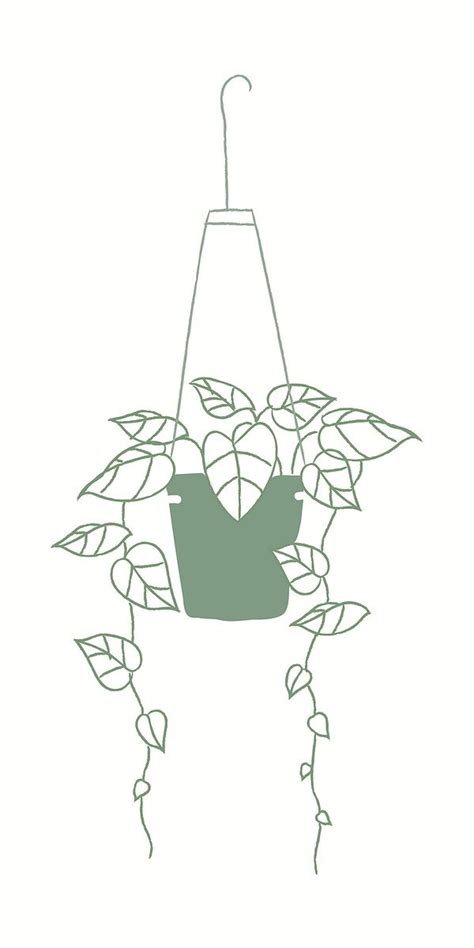 Coloring Books Coloring Pages Hanging Plants Outdoor Plant Sketches