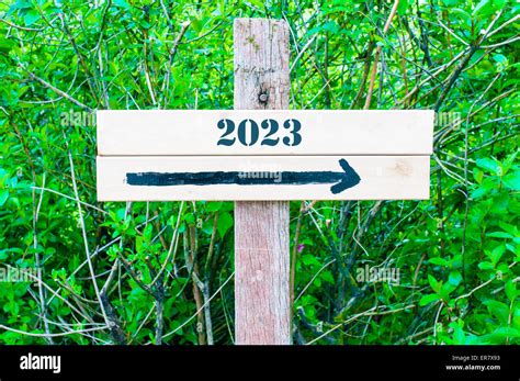 Year 2023 Written On Directional Wooden Sign With Arrow Pointing To The