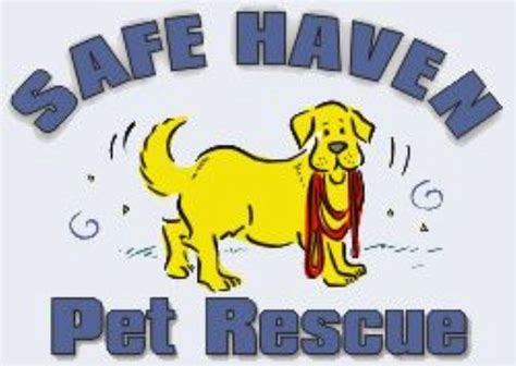 Safe Haven Pet Rescue Animal Rescue Pets Rescue