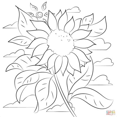 48+ Printable Realistic Sunflower Coloring Page Pictures - Free
