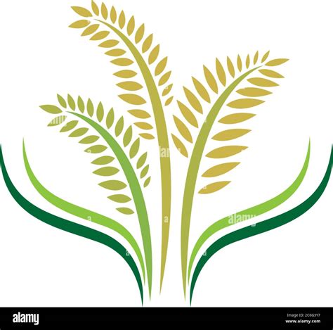 Rice Plant Logo Icon Concept Illustration Stock Vector Image And Art Alamy