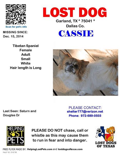 Have You Seen Cassie Information On Cassie And Contact Information If
