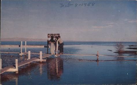 Salton Sea Beach California Postcard