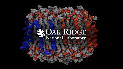 Oak Ridge National Laboratory Amd
