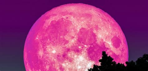 Amazing Pink Fullmoon Set To Rise Over Earth On Good Friday Strange