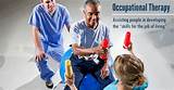 Occupational Therapy With Animals Images