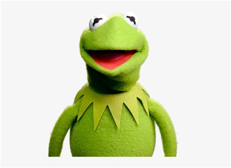 Top 39 Imagen Kermit The Frog Transparent Background Thpthoangvanthu