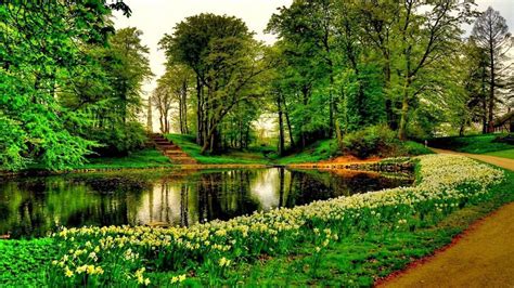 28 nature hd wallpapers 1080p. Beautiful Nature Backgrounds - Wallpaper Cave