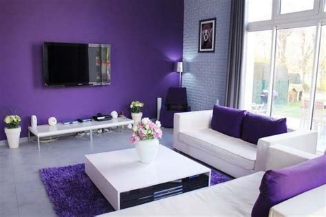 Decorating Ideas Purple Purple Living Room Decorating