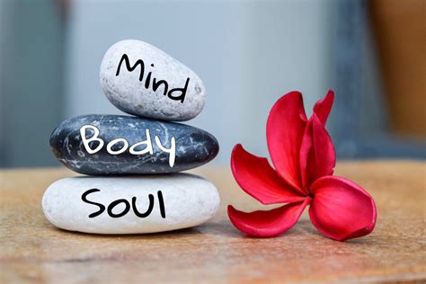Mind Body Soul Evolutions