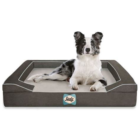 Sealy Dog Bed With Quad Layer Technology Medium Modern Gray Click