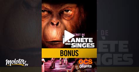 Le Secret De La Planète Des Singes Streaming - Le secret de la planète des singes, le bonus en Streaming - Molotov.tv