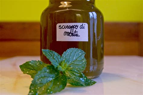 Se non avete voglia di coltivare menta in casa o di raccoglierla a seguito da un'estenuante caccia, potete sempre acquistarla: Sciroppo di menta fatto in casa - magnaguat