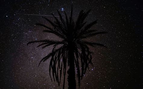 Download Wallpaper 3840x2400 Palm Tree Silhouette Starry Sky Night