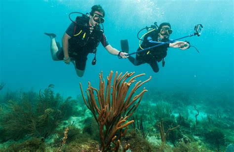 Dive Sites Of Dominican Republic Bayahibe Map And Descriptions