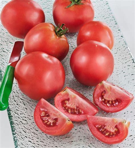 Tomato Seeds Early Girl Hybrid Disease Resistance 52 Days To