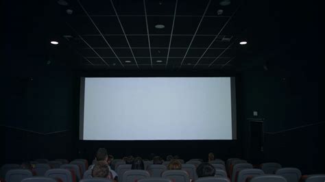 Audience Looking At White Screen In Cinema Stock Footage Sbv 326005859