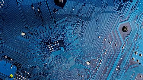 Petlink's lifetime microchip registration will never require any annual fee, renewal fee or update fee when done with your online account. Blue Chip - Bing Wallpaper Download