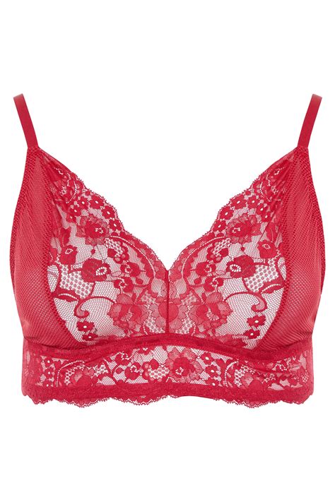Red Lace Mesh Boudoir Bra Yours Clothing